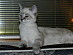View full size picture
