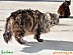 View full size picture