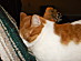View full size picture