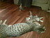 View full size picture