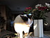 View full size picture