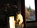 View full size picture