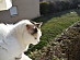 View full size picture
