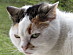 View full size picture