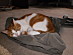 View full size picture