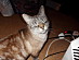 View full size picture