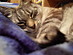 View full size picture