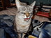View full size picture