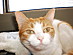 View full size picture