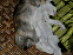 View full size picture