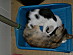 View full size picture