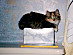 View full size picture
