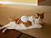 View full size picture