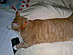 View full size picture