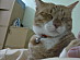 View full size picture