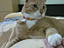 View full size picture