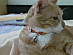 View full size picture