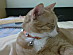 View full size picture