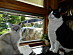 View full size picture