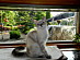 View full size picture