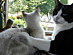 View full size picture