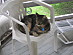View full size picture