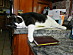 View full size picture