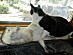 View full size picture