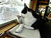 View full size picture