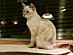 View full size picture