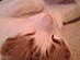 View full size picture