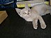 View full size picture