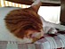 View full size picture