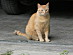 View full size picture