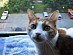 View full size picture