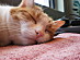 View full size picture