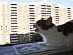 View full size picture
