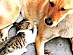 View full size picture