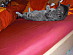 View full size picture