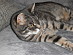 View full size picture