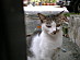 View full size picture