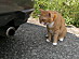 View full size picture