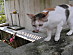 View full size picture