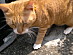 View full size picture