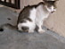 View full size picture