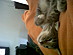View full size picture