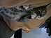 View full size picture