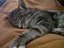 View full size picture