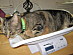 View full size picture