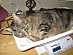 View full size picture